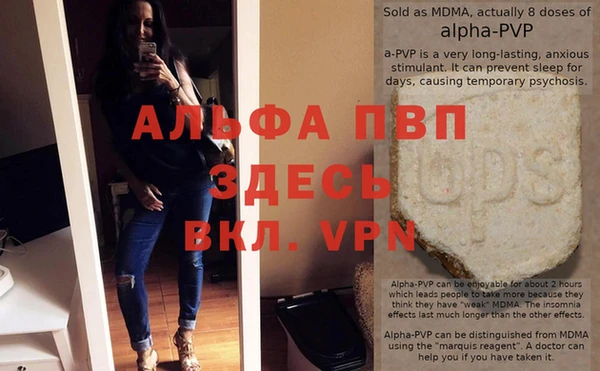 spice Вязьма