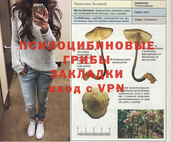 прущие крисы Горнозаводск