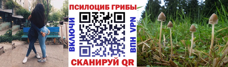 Галлюциногенные грибы прущие грибы  Заволжск 